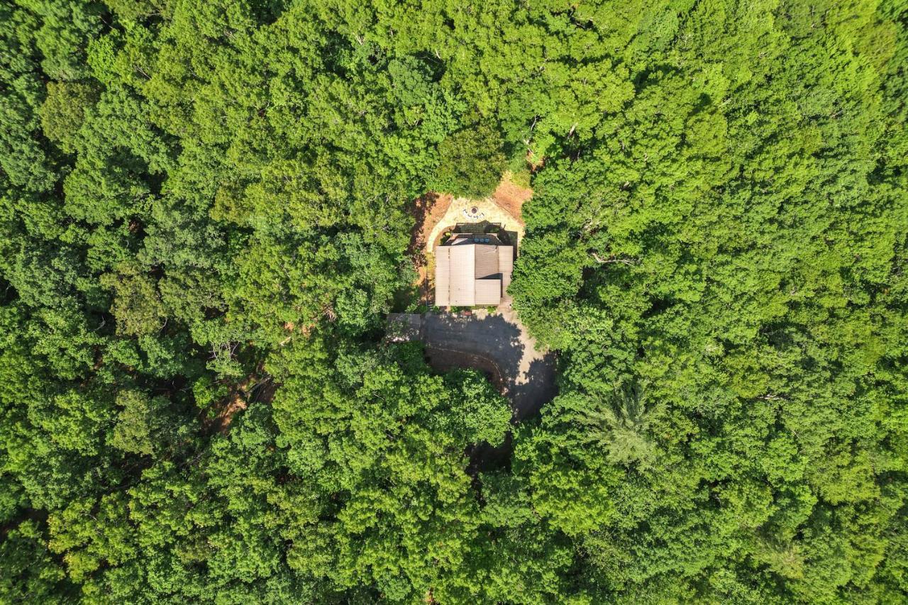 Bear Naked Bungalow 蓝岭 外观 照片